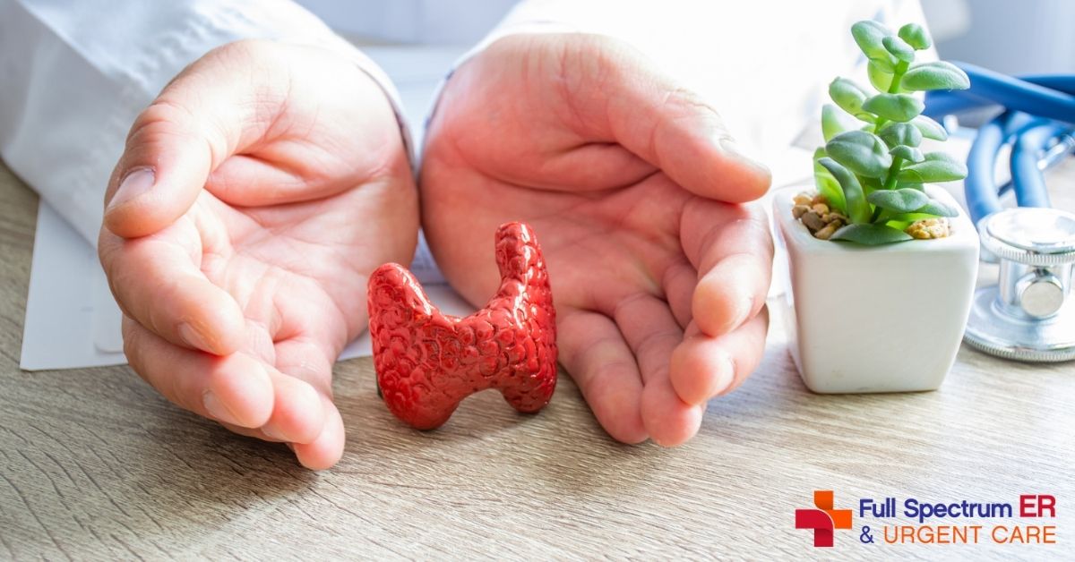 The Purpose of Your Thyroid Photo
